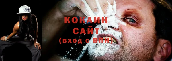 apvp Осинники