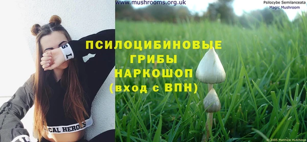 каннабис Осташков