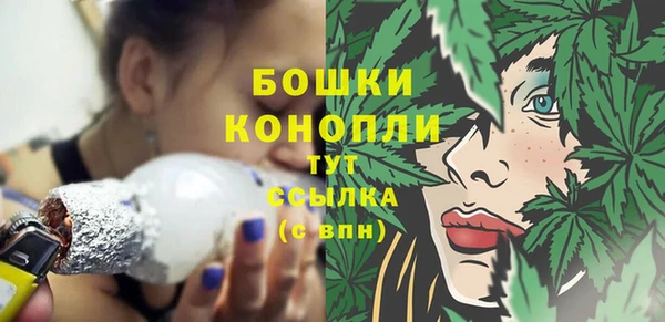 apvp Осинники
